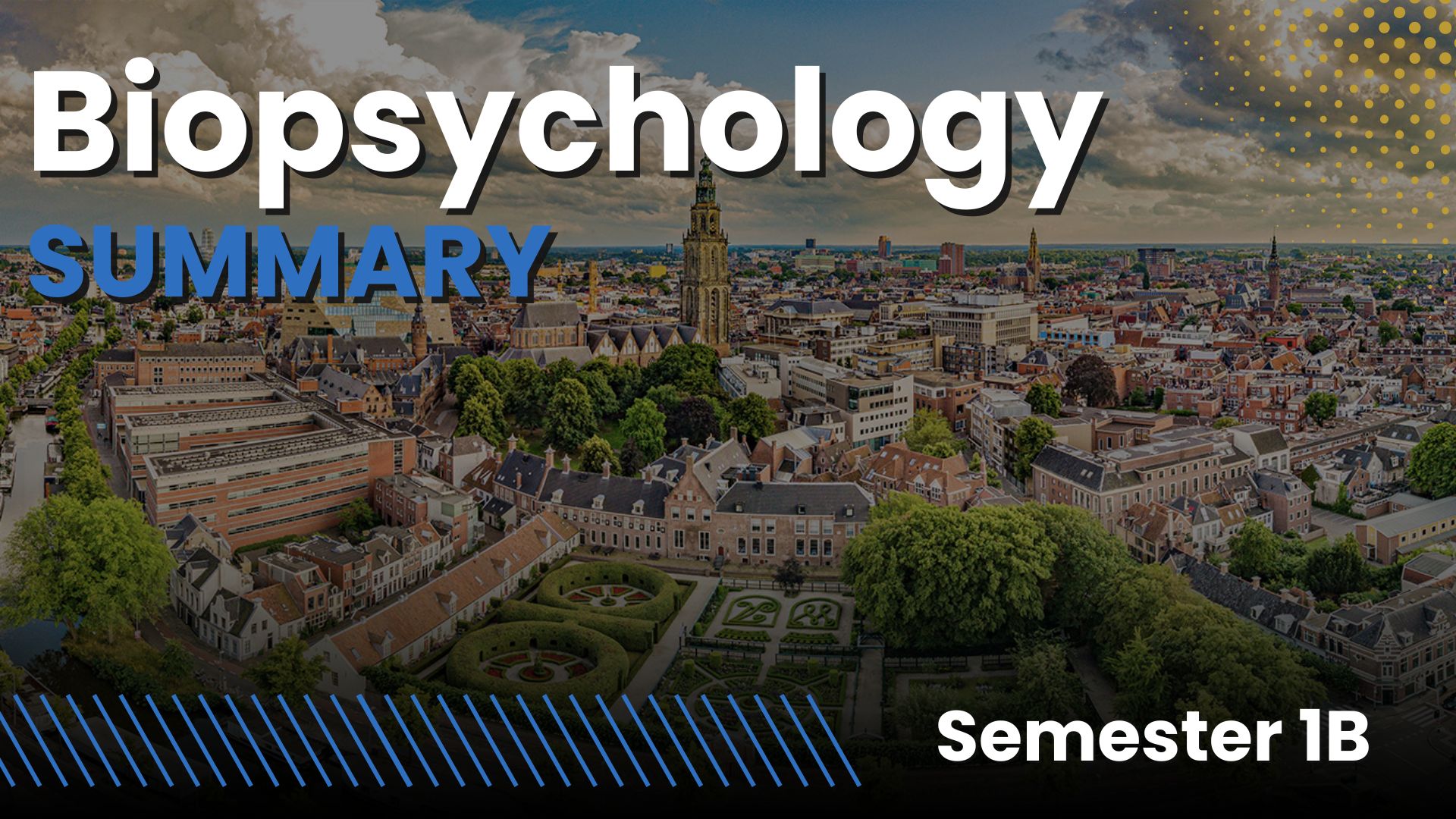 Biopsychology RUG (Psychology year 1, SEMESTER 1B)