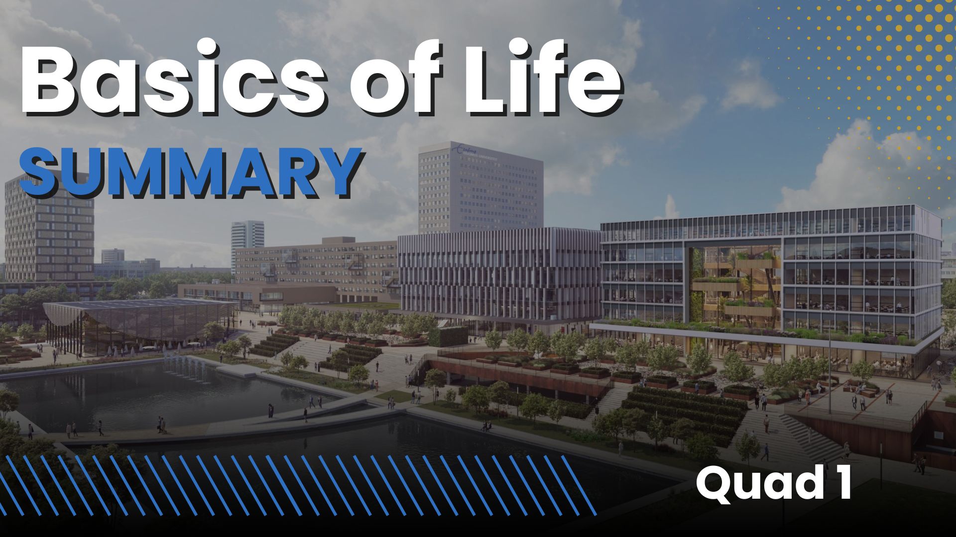 Basics of Life EUR (LAS year 1, quad 1)