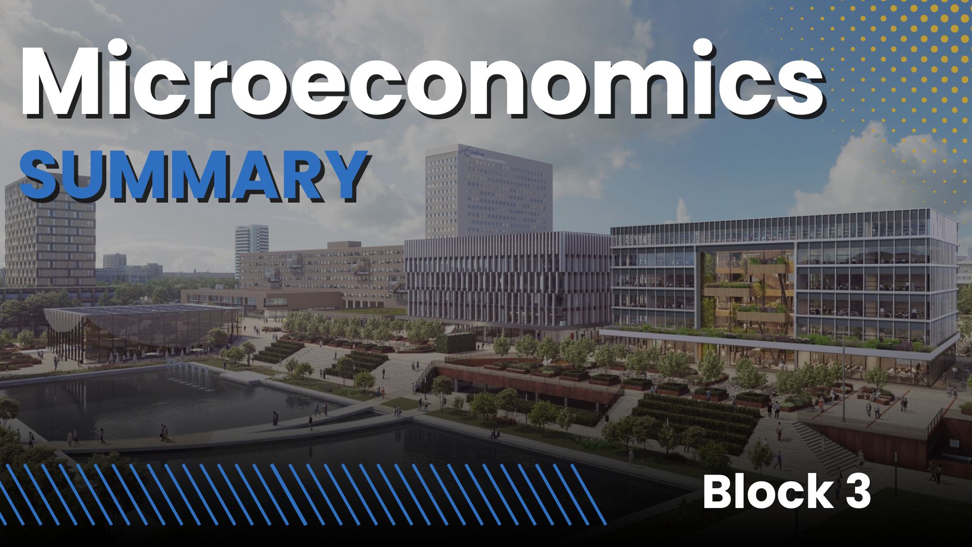 Microeconomics EUR (IBA year 1, block 3)