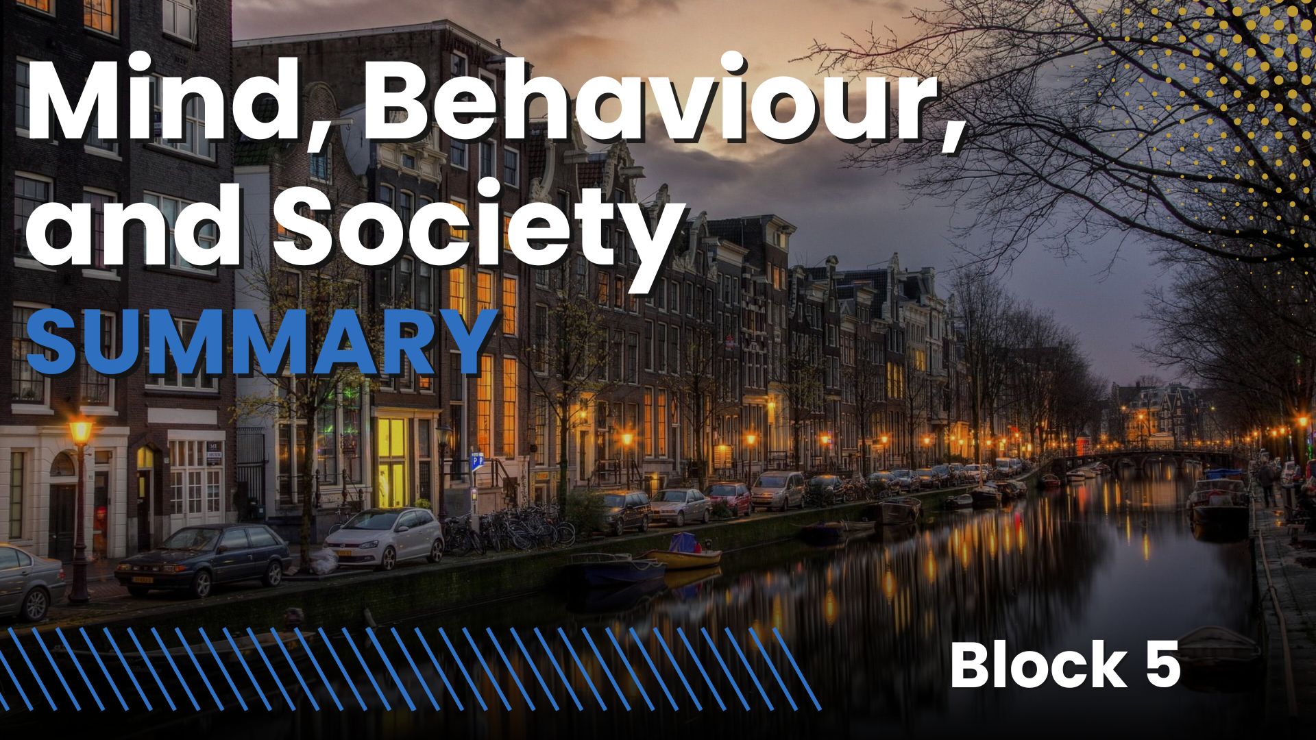 Mind, Behaviour, and Society UvA (PPLE year 1, block 5)