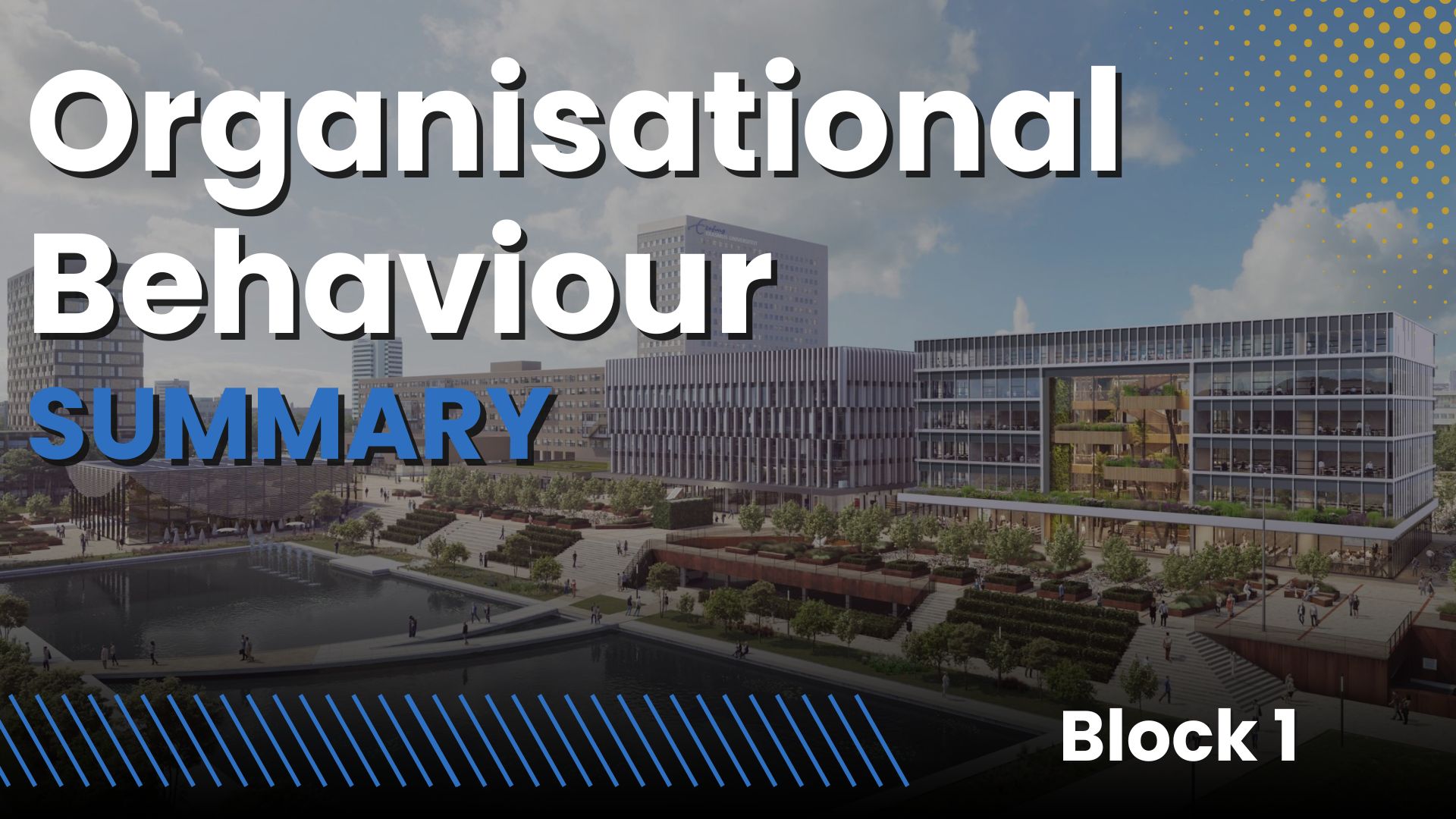 Organisational Behaviour EUR (IBA year 1, block 1)